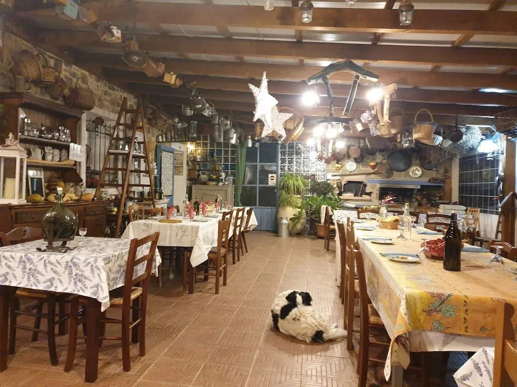 Agriturismo Cà Sottane - Imperia Borgomaro_Borgomaro_slider_image_2