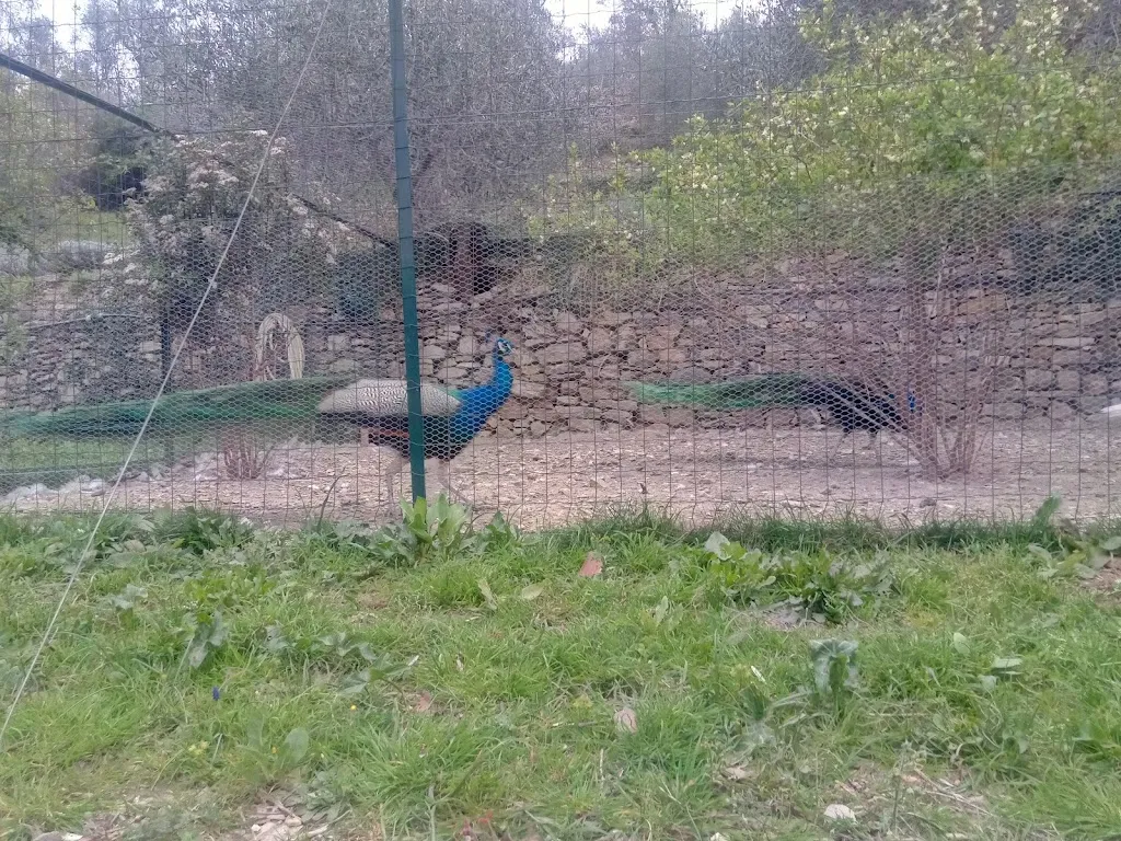 Agriturismo Cà Sottane - Imperia Borgomaro_Borgomaro_slider_image_3