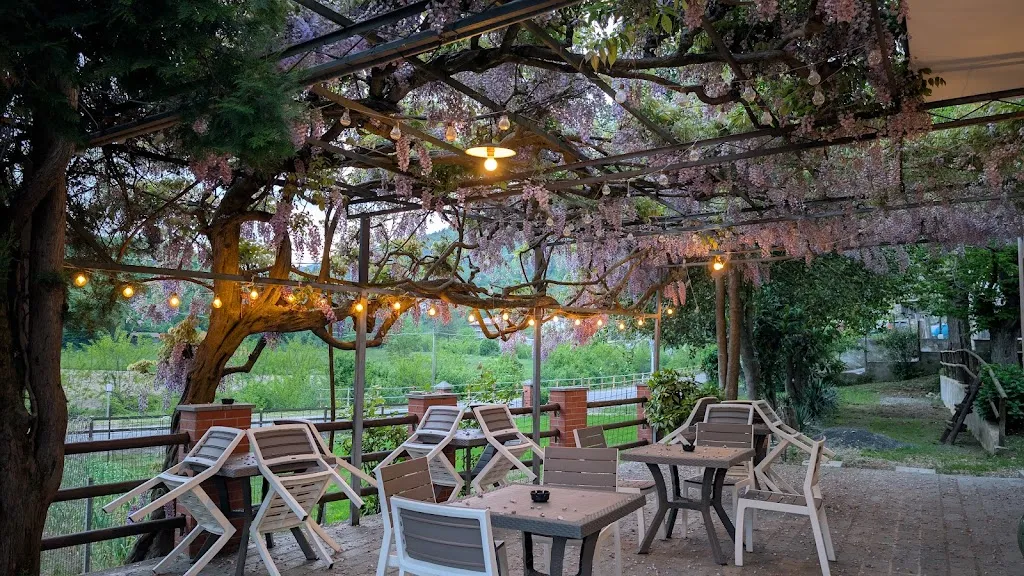 Giorgio _Trattoria del Pozzo_Bormida_review