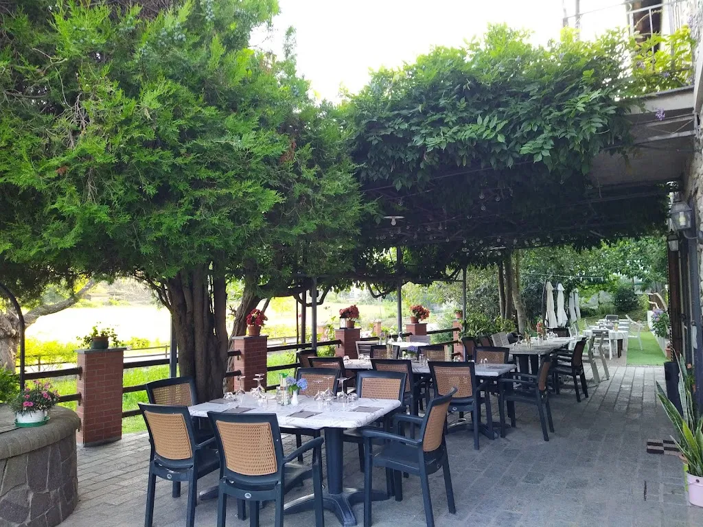 Trattoria del Pozzo restaurant in Bormida