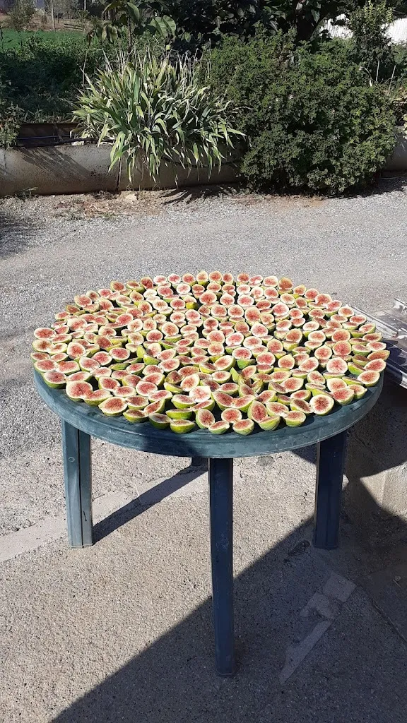 Menu_Autogrill • Brugnato Ovest_Brugnato_image_3