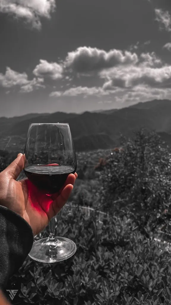 Jerome E._Ristorante Caminetto_Calice al Cornoviglio_review