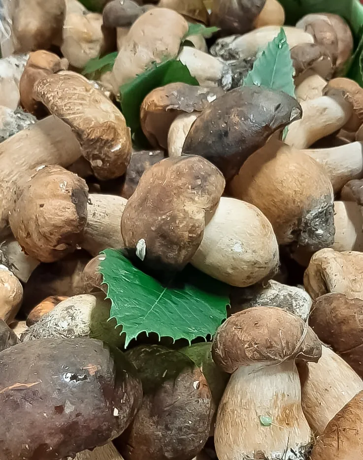 Menu_Piemontese_Calice Ligure_image_6