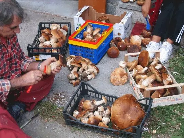 Menü_Pensione Eden Ristorante_Calizzano_Bild_4