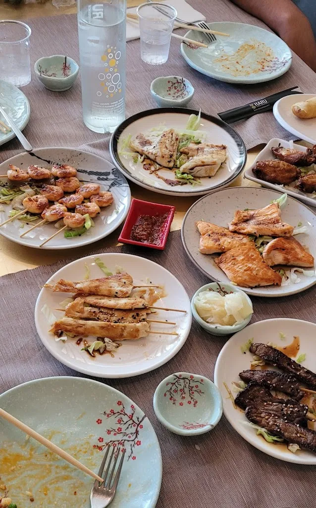 PRANAVAM prinsu_Haru Asian Fusion Restaurant_Cairo Montenotte_review