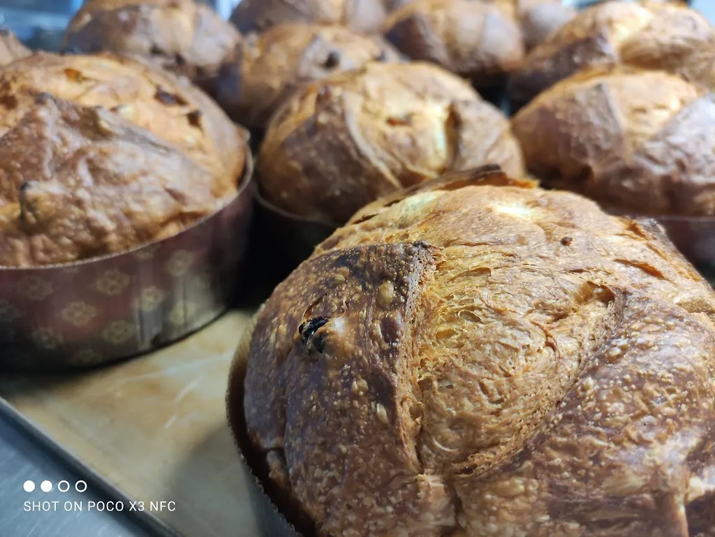 Menu_Pasticci Amo Bistrò_Campo Ligure_image_6