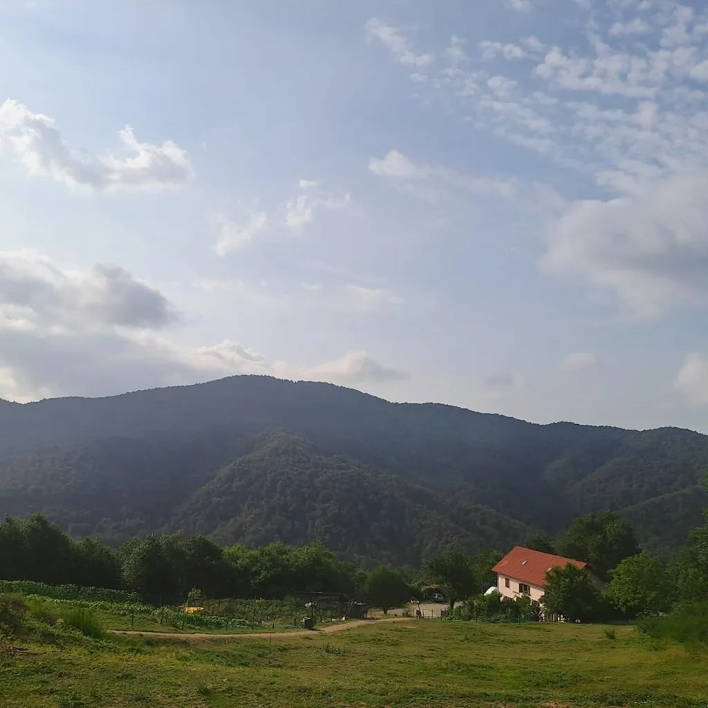 Ángel B_Farmhouse Gli Orti Di Bertin_Campo Ligure_review