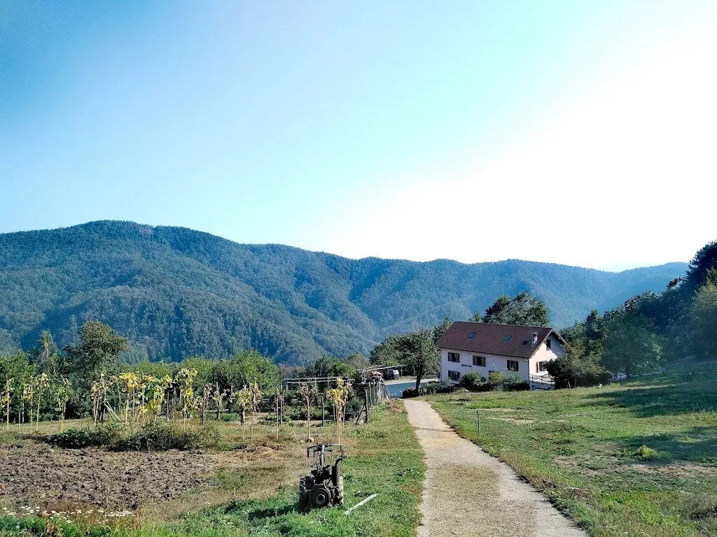 Clara Milanesi_Farmhouse Gli Orti Di Bertin_Campo Ligure_review