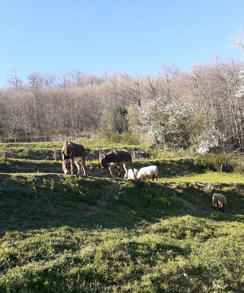 Farmhouse Gli Orti Di Bertin_Campo Ligure_slider_image_3