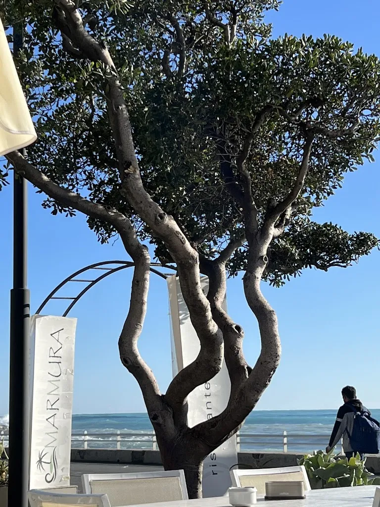 Isabelle-Maria Arusilor_Marmura_Bordighera_review