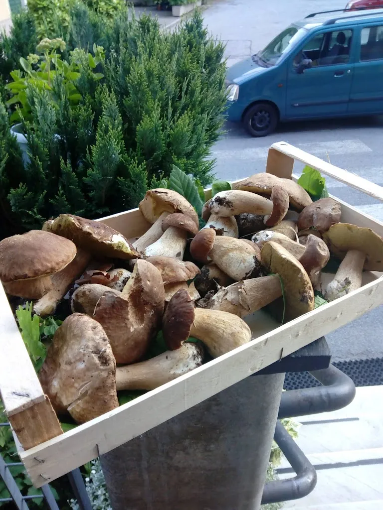 Menu_Antica Trattoria Bambin_Campomorone_image_5