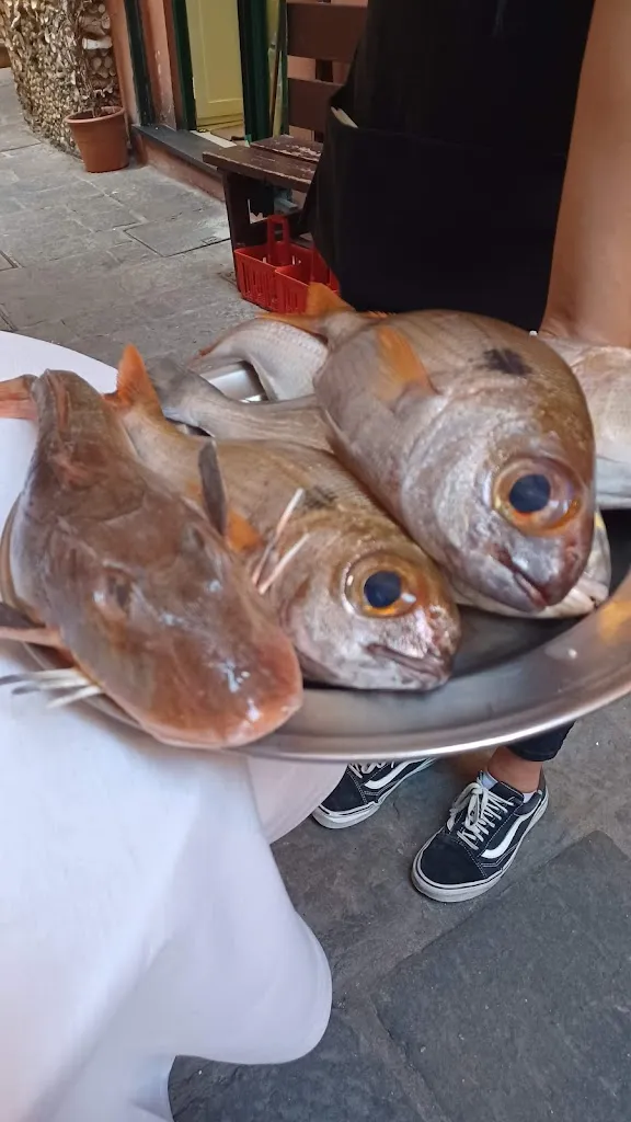 Mark Yost_Ristorante Da Paolo_Camogli_recensione