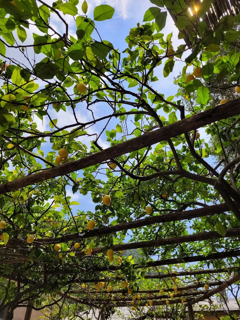 Gourmetby Dona_Da Laura_Camogli_recensione