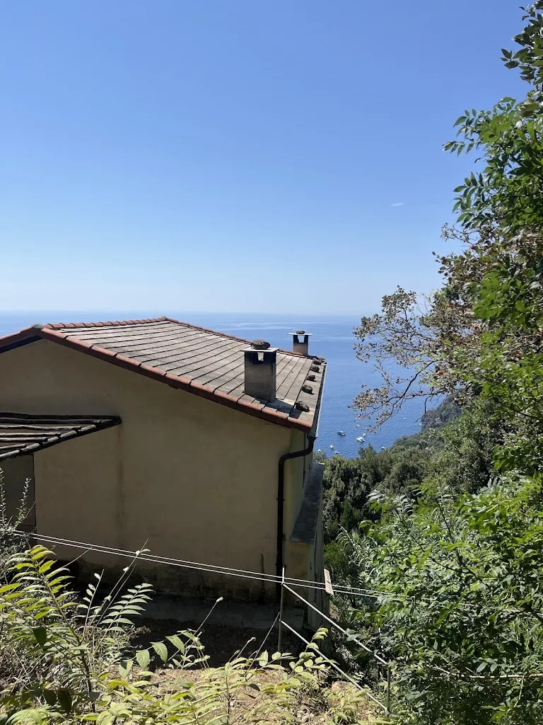 Vitalii Stetsyk_Stella Maris_Camogli_review