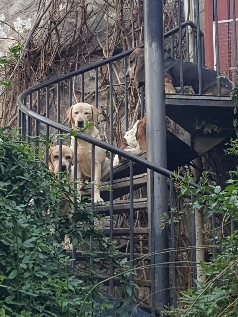 Giulia Giulia_le Rapalline_Campochiesa_review