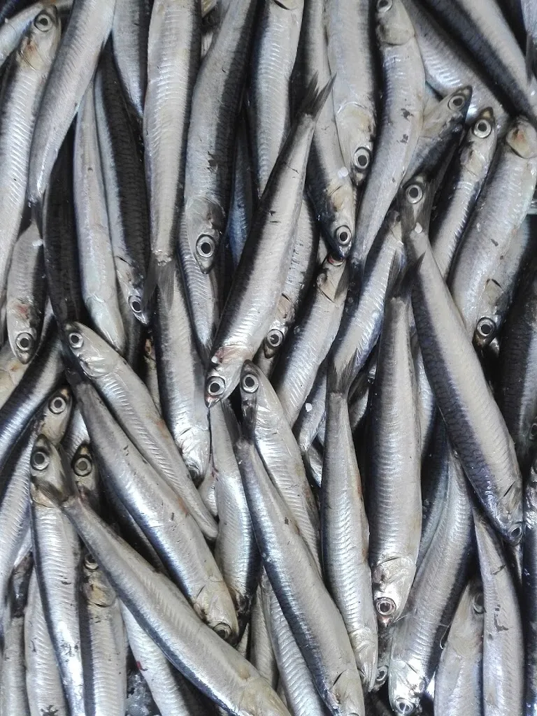 Menu_Andrea Masala Chef_Campochiesa_image_7