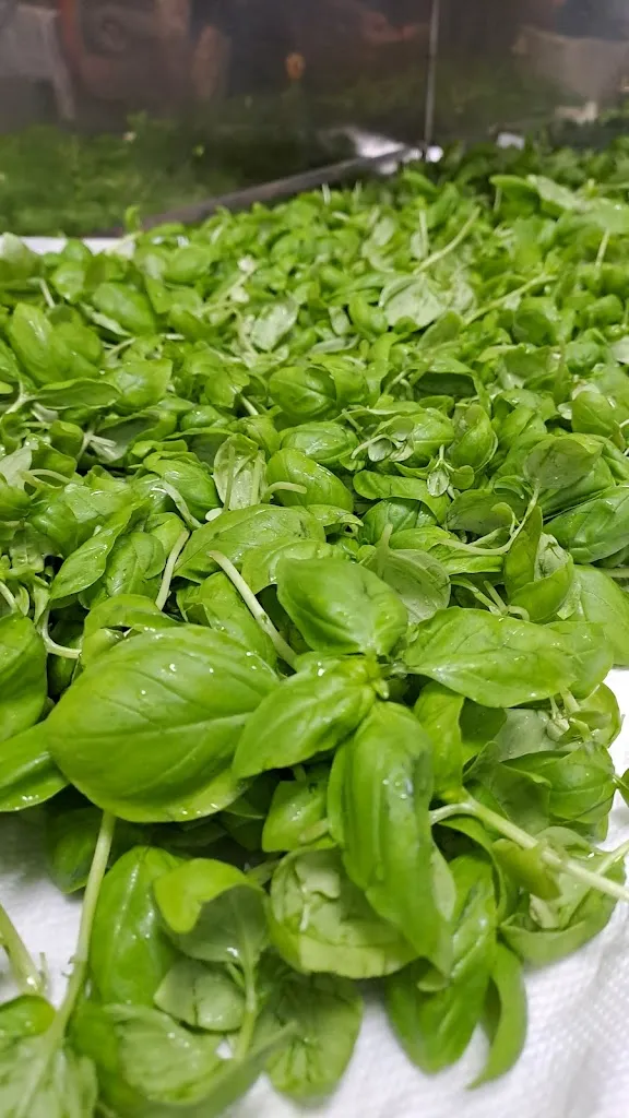 Menu_Tradizionale - Cucina e Vino_Carasco_imagen_5