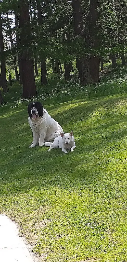 albert Forlangieri_Ristorante La Grandze_Courmayeur_review