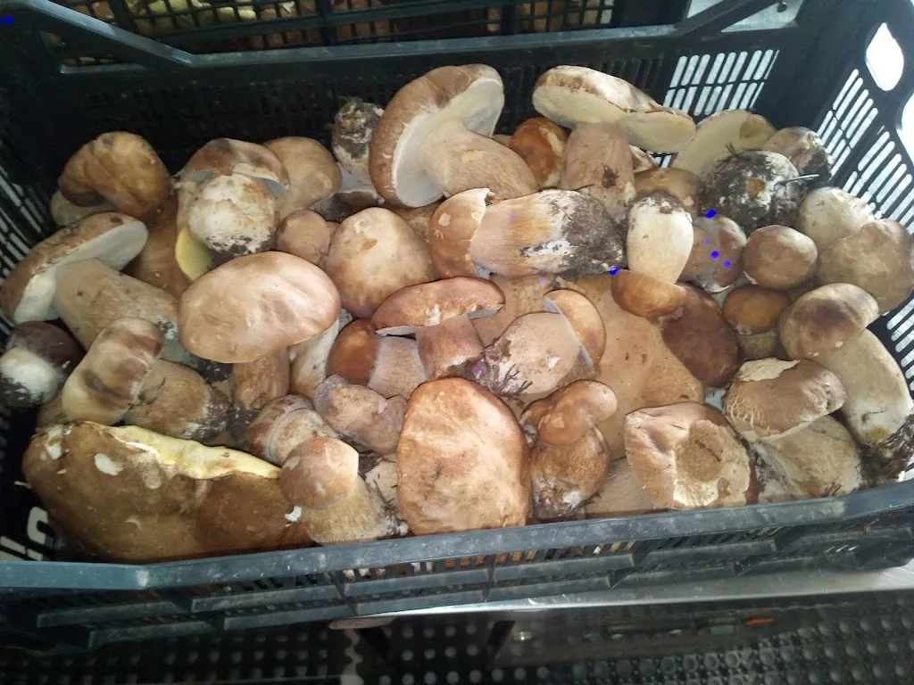 Menu_Ristorante Italia_Castel Vittorio_image_1