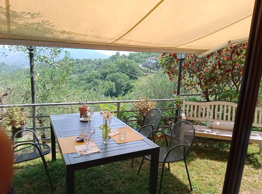 Emanuele Cassani_Azienda Agricola Olivette_Casarza Ligure_review