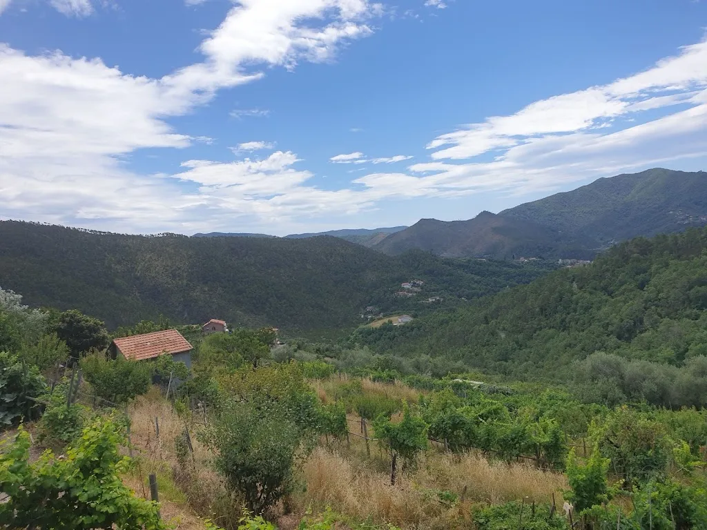 Azienda Agricola Olivette_Casarza Ligure_slider_image_1