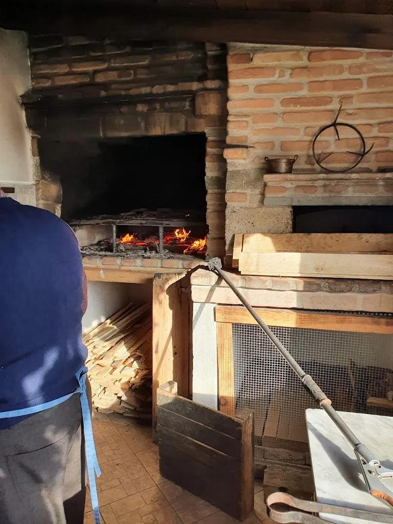 Azienda Agricola Olivette_Casarza Ligure_slider_image_2