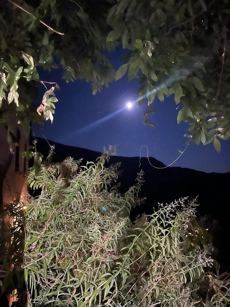 Lasse Sorensen_Home Restaurant Mangiâ all’Antiga_Casarza Ligure_review