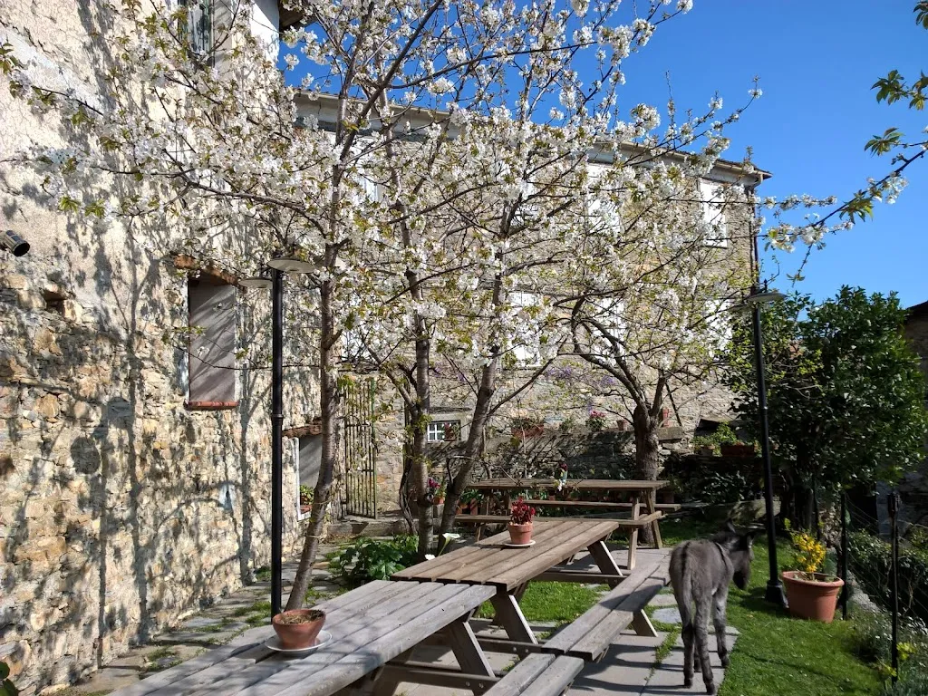 Agriturismo U Caruggiu_Casanova Lerrone_slider_image_3