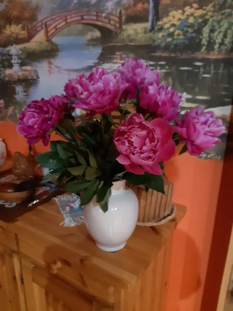 Nadia Rota_Agriturismo Gli Ulivi_Casanova Lerrone_review