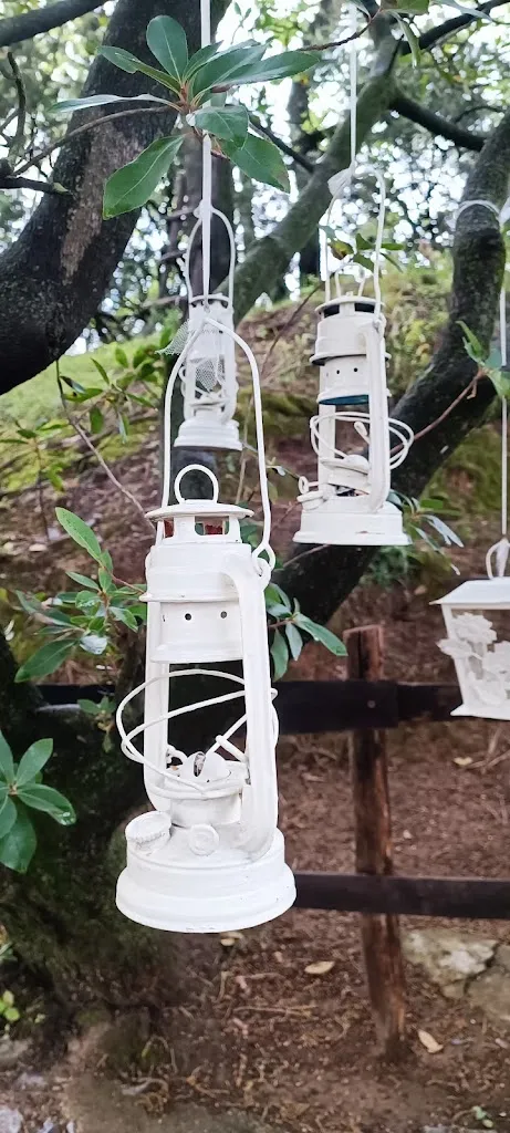 Silvia Stocchero_Il Boschetto_Casanova Lerrone_review