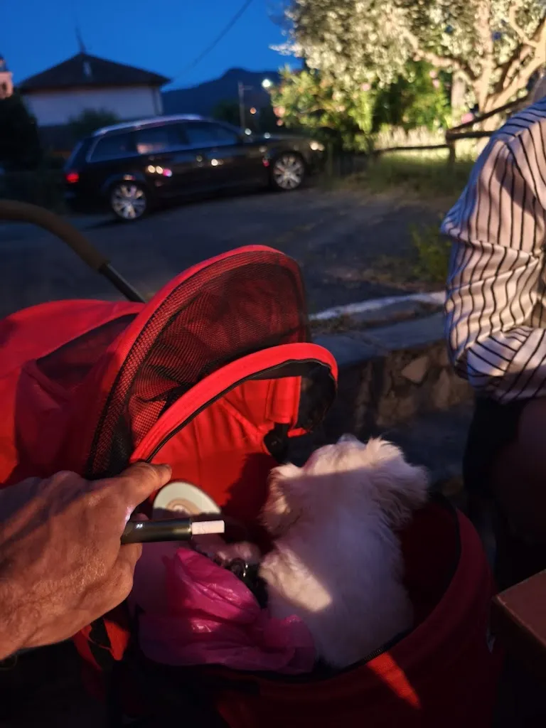 Srđan Stanković_L'Oste al 16_Casanova Lerrone_review