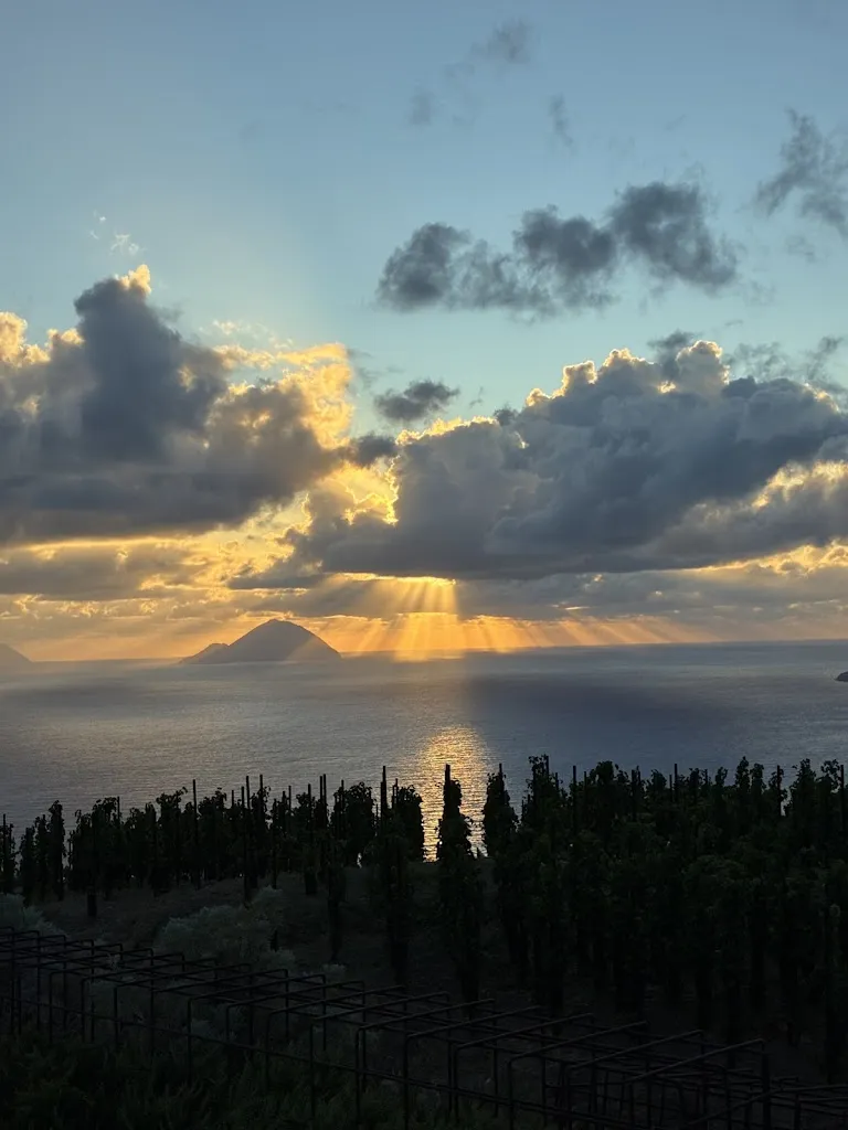 Anthony Testa_Castellaro Bistrot_Castellaro_review