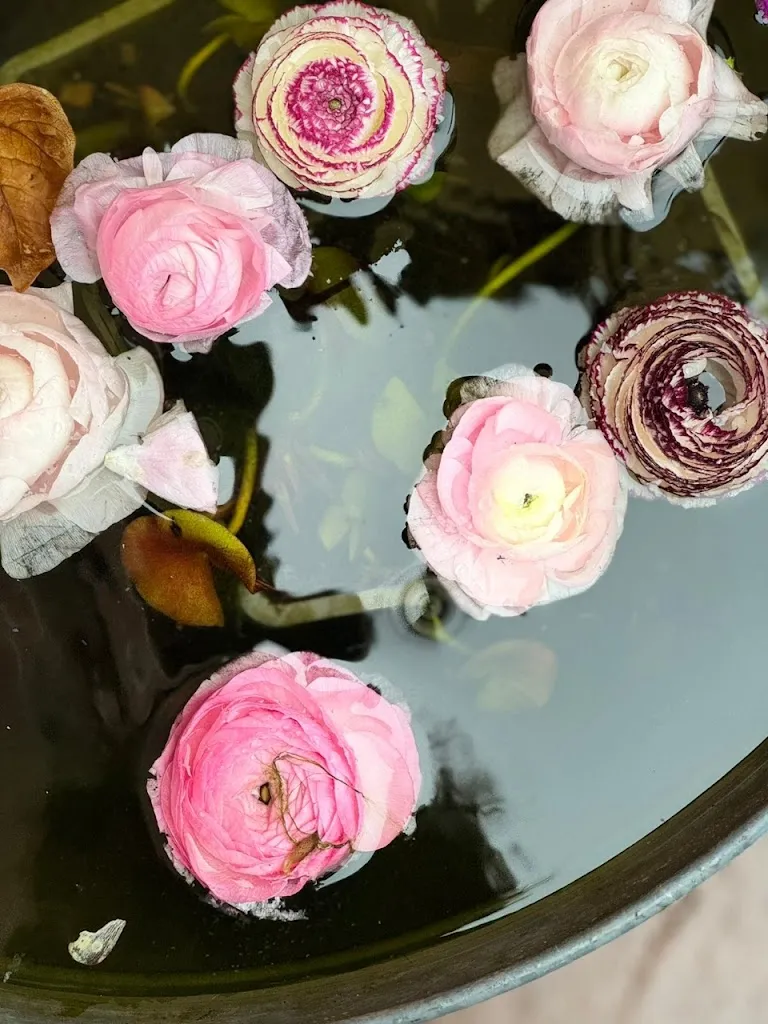 Alice D._Pink Home Restaurant_Castellaro_recensione