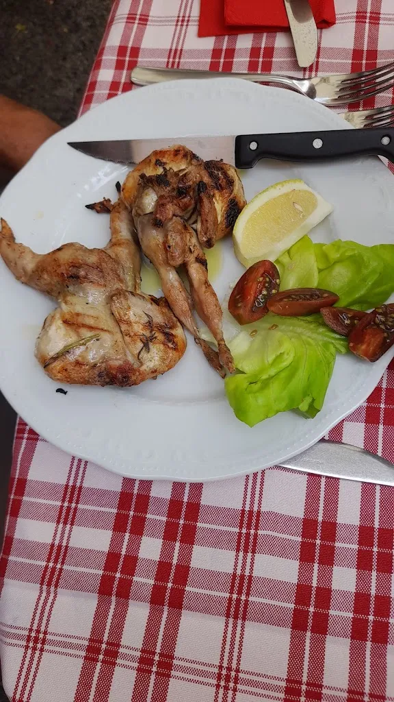 Ivana “Ivy” Zini_Ö Strixeü_Ceranesi_review