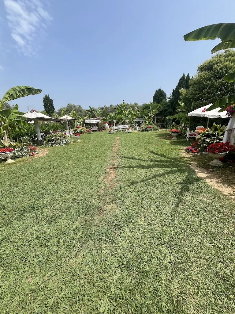 lori gozzani_Hibiscus_Castelnuovo Magra_review