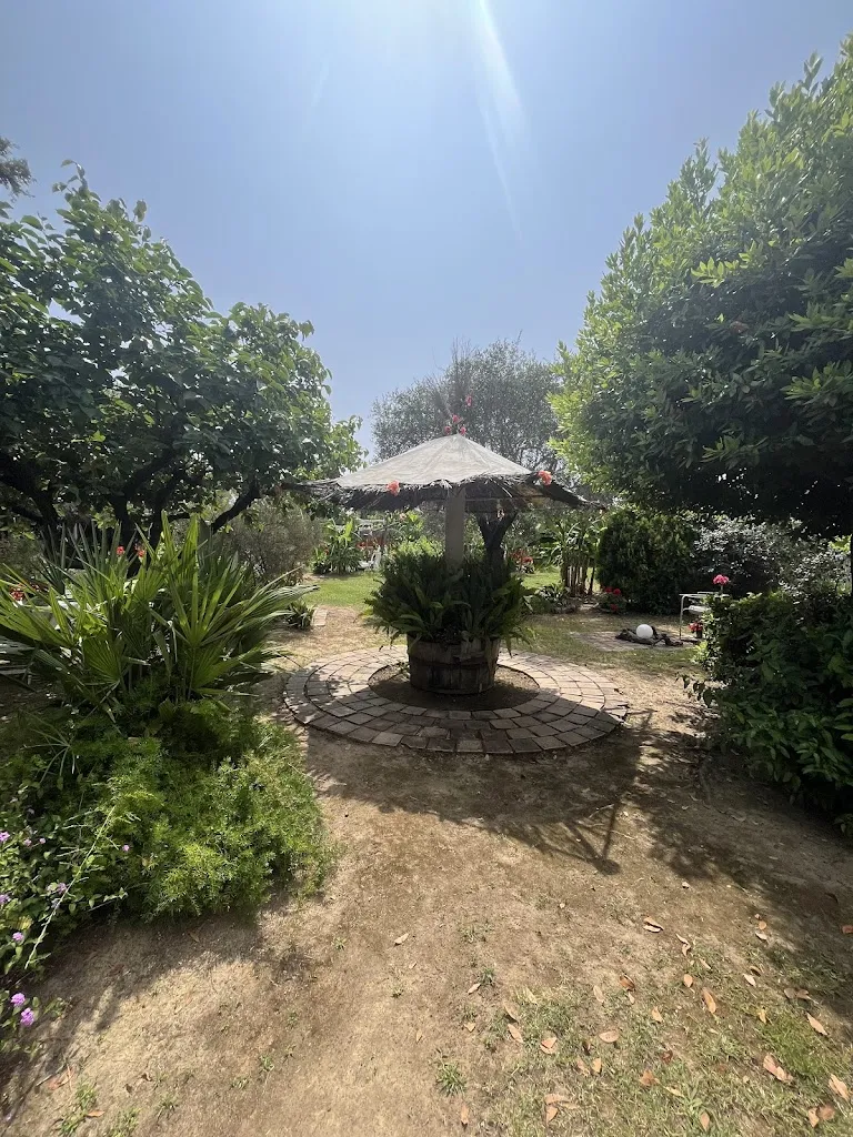 Hibiscus_Castelnuovo Magra_slider_image_2