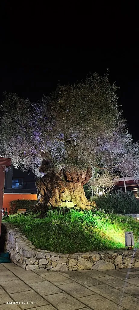 Adriano Tresk_Osteria Antico Ulivo_Castelnuovo Magra_review