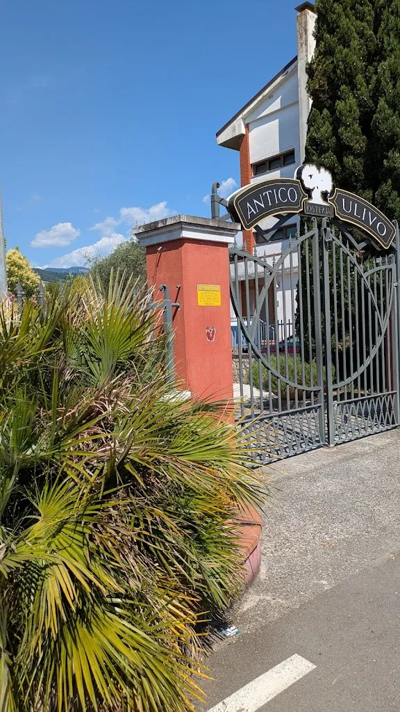 Marco Rubertelli_Osteria Antico Ulivo_Castelnuovo Magra_review