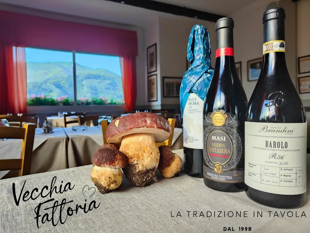 Ristorante Vecchia Fattoria_Ceriana_slider_image_3