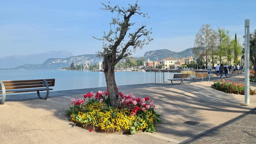 Taverna Al Porto restaurant in Cisano