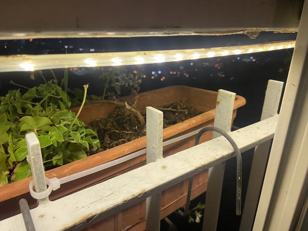 Stefanie Probst_Bricco della Gallina_Cogorno_review