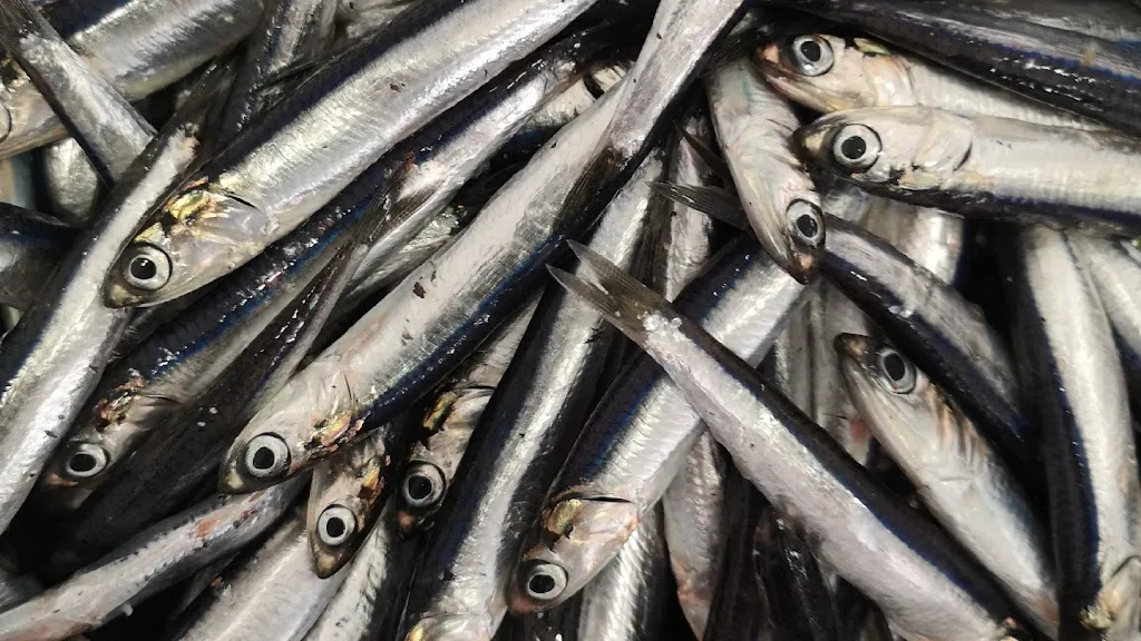 Friggitoria l'Anciua_Cogorno_slider_image_3