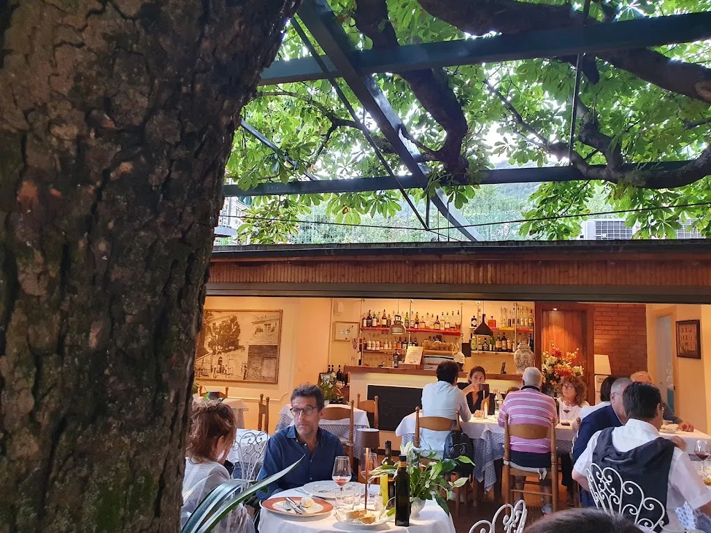 Grant Robertshaw_Trattoria detta del Bruxaboschi_Davagna_review