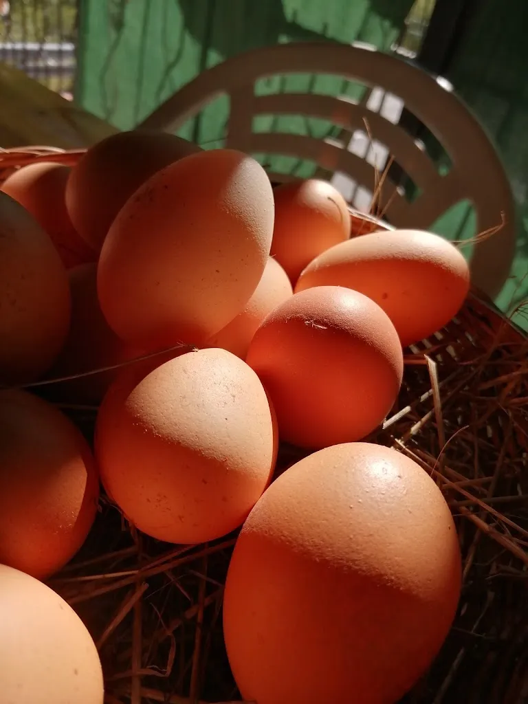 Menu_Le Cose Buone del Granducato HOME RESTAURANT MANGIARE IN TAVERNA_Davagna_image_8