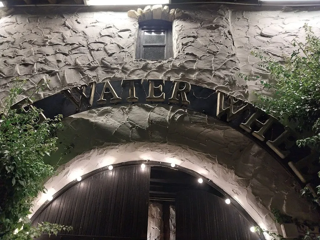 Yves Goris_The Water Wheel_Diano Arentino_review