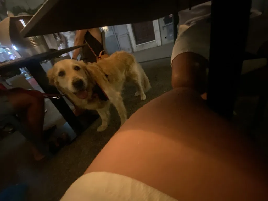 Claire Braam_Blu Mare_Diano Arentino_review