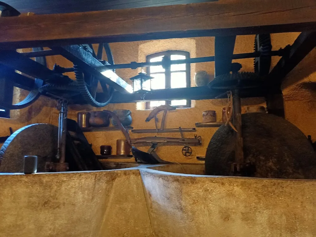 Cristina Battistetti_I Gumbi_Dolceacqua_review