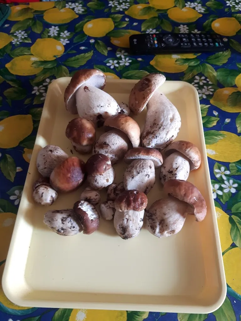 Menu_Ferrari Maria_Ferriere_image_2