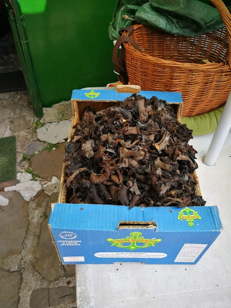 Menu_Ferrari Maria_Ferriere_image_4