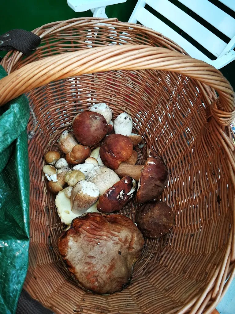 Ferrari Maria_Ferriere_slider_image_1